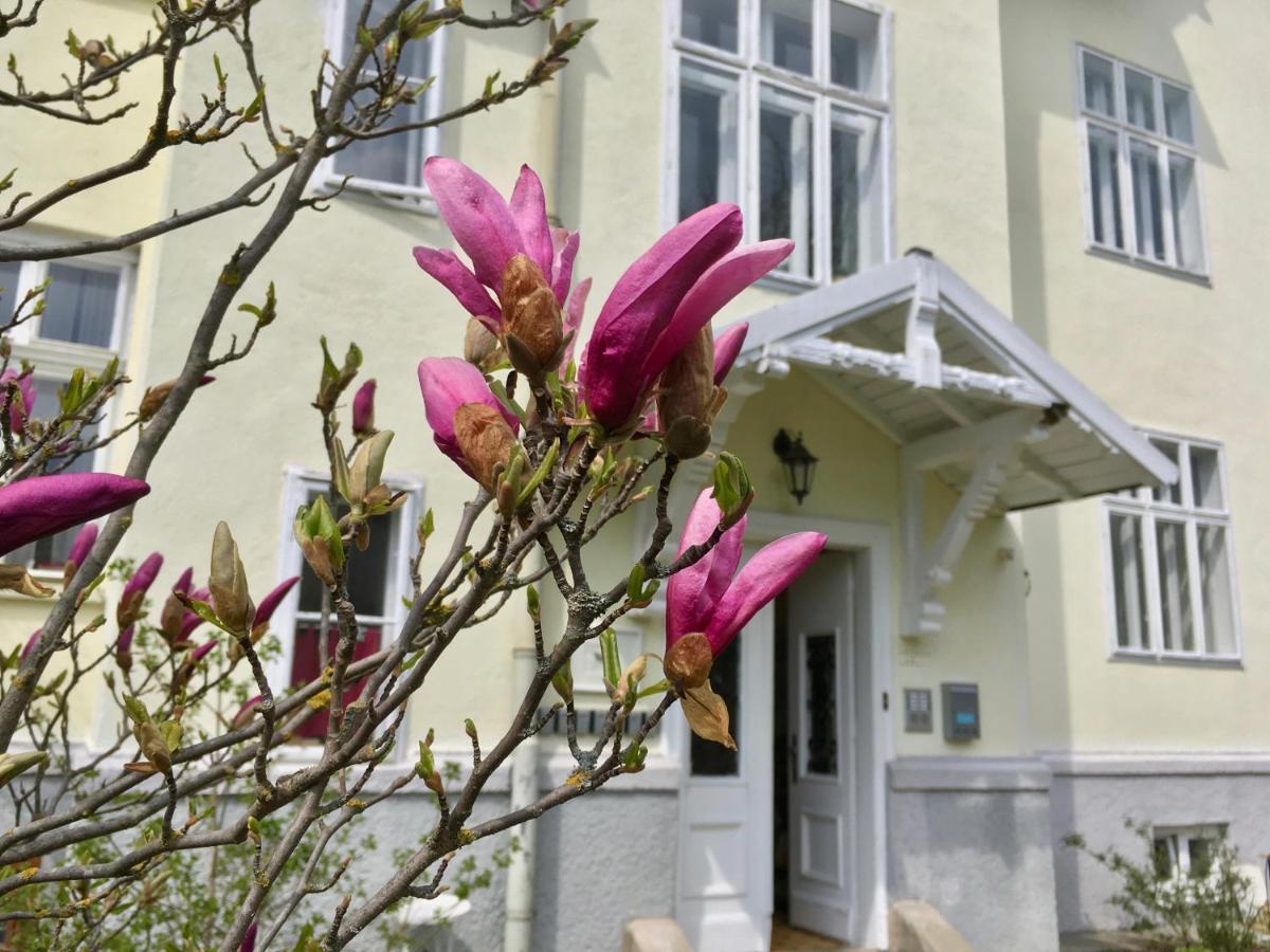 Landhaus Blauer Spatz Reichenau An Der Rax 외부 사진